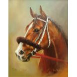 David 'Mouse' Cooper: The Racehorse 'Take Over Target', oil on canvas signed,