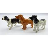 Three Beswick dogs, Springer Spaniel no. 3135, Cocker Spaniel 'Horseshoe Primula' no.