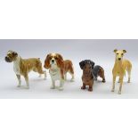 Four Beswick dogs; Boxer 'Blue Mountain Greta' no. 1202, King Charles Spaniel 'Blenheim' no.