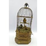 Victorian singing bird automaton, three taxidermy feathered birds on naturalist ground in cage,