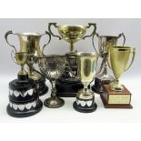 A Britannia metal 2 handled trophy and various plated trophies Condition Report & Further