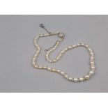 A Wild Seawater Pearls Necklace