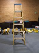 Clow 5 rung stepladder