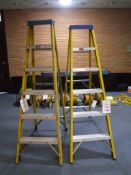 2 - Clow 5 rung stepladder