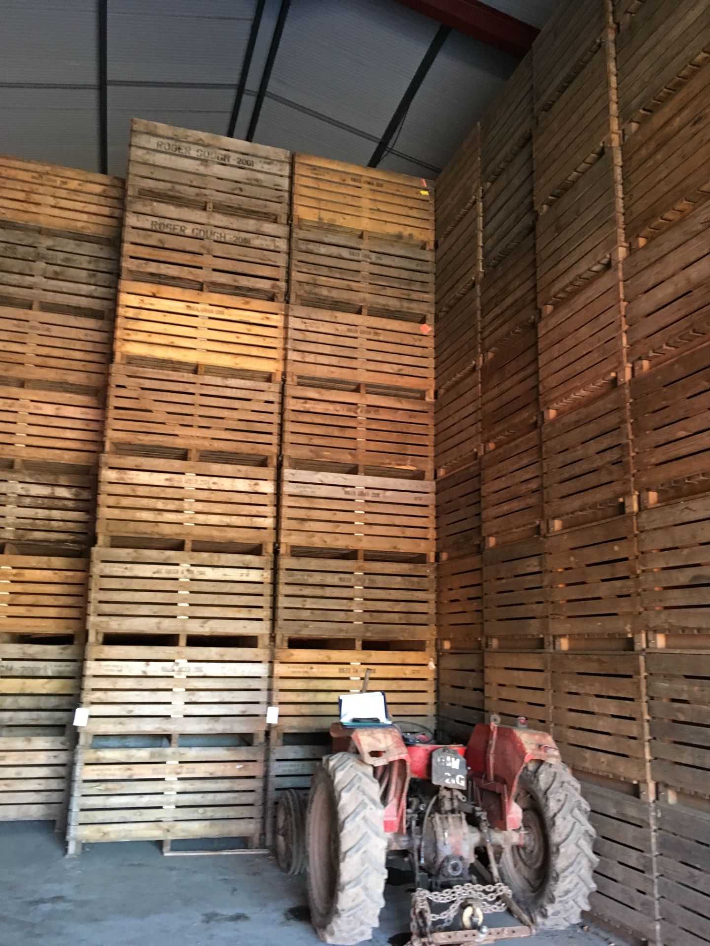 Approximately 160 potato boxes - Image 2 of 2