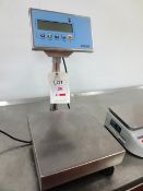 Dini Argeo stainless steel digital weigh scales, model DFWL1, serial no: 0100378741