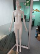 6' Full Female Mannequin