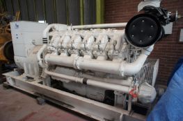 * Generator Set comprising of Isotta Franchini Diesel Engine with Newage/Stamford Generator,