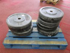 * A Selection of Rubber Covered Weighted Plates, including 6 x 15Kg Jordan Weights, 2 x 20 Kg Jordan