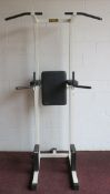 * Technogym Chin Dip Frame. Please note there is a £5 Plus VAT Lift Out Fee on this lot.