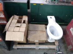 * An Unused Toilet and Sink & Box of Vases