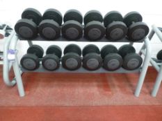 * A TechnoGym Weight Stand complete with Dumbbells, 2 X 32Kg, 2 X 30Kg, 2 X 28Kg, 2 X 26Kg, 2 X