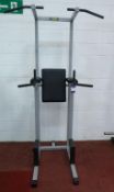 * A TechnoGym Pull Up Frame. Please note there is a £5 Plus VAT Lift Out Fee on this lot