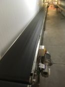 * Ene Ltd Type 10m Conveyor. 10m Long, 40cm Wide belt. Weight Capacity c. 500Kg
