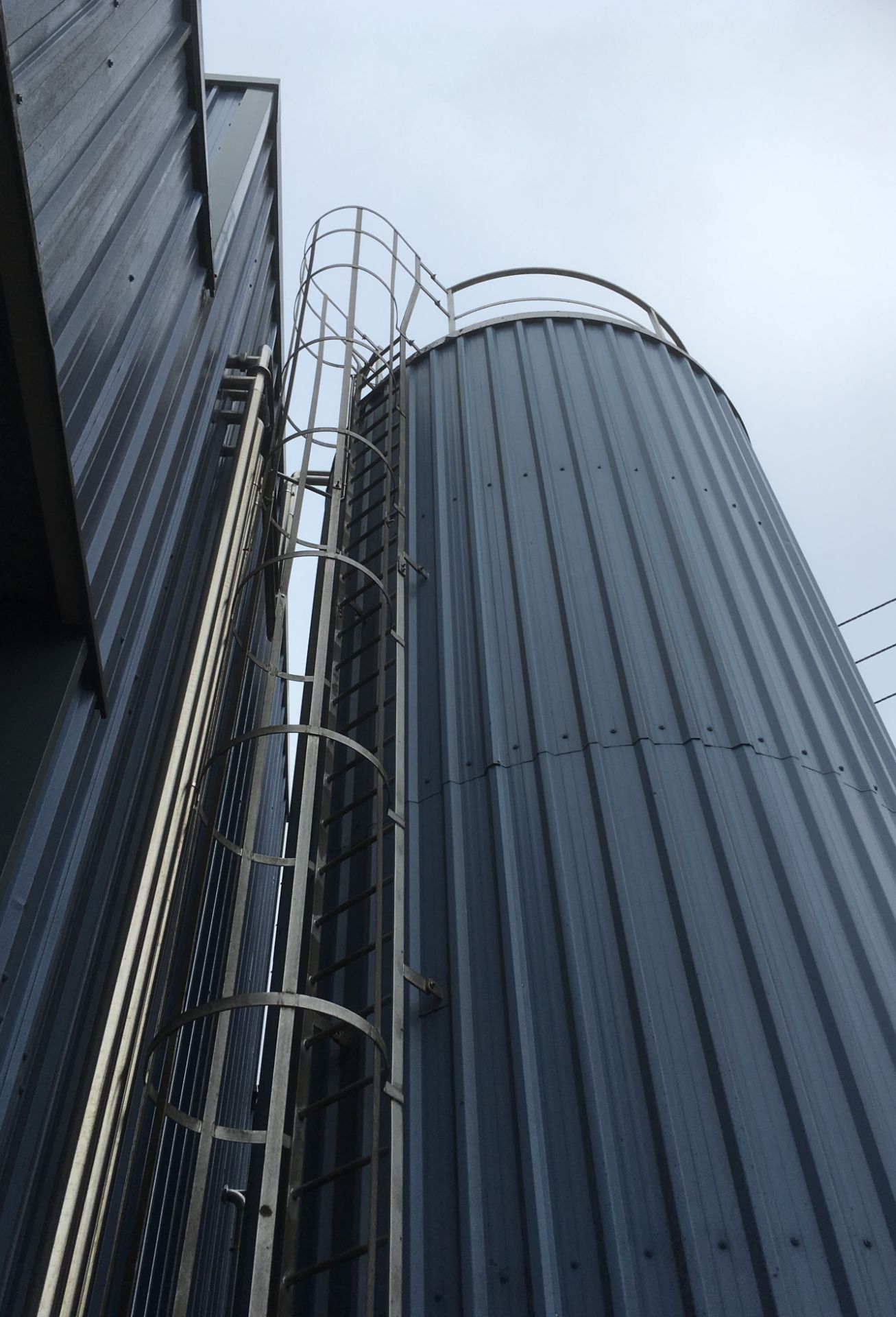 * 2009 Diesenvale Engineering Insulated 60,000 Litre Stainless Steel Finished Milk Silo with - Image 4 of 4