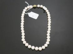 * 9 Carat Gold 11mm Freshwater Pearl Necklace (Retail Price £750) (40674)