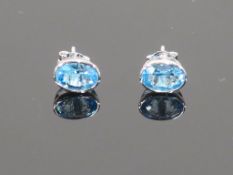 * 9 Carat Blue Topaz Earrings (Retail Price £245) (43152)