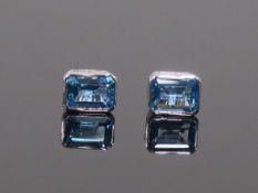 * 9 Carat Blue Topaz Earrings (Retail Price £285) (43156)