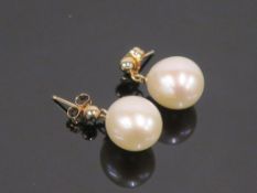 * 9 Carat Gold Pearl Earrings (Retail Price £145) (42642)