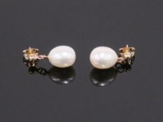 * 9 Carat Gold Pearl Earrings (Retail Price £120) (42643)