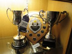 2 various Trophies and Shield