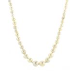 An antique pearl necklace comprising a single strand of ninety six graduated pearls with a