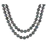 A LONG BLACK PEARL NECKLACE comprising a single row of one hundred and five black pearls of
