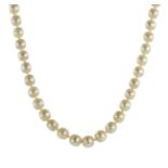 A PEARL NECKLACE in yellow gold comprising a single row of fifty eight pearls of approximately 7mm