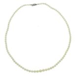 AN ANTIQUE PEARL AND DIAMOND NECKLACE in white gold or platinum comprising a single row of ninety