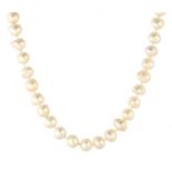 A PEARL NECKLACE in 18ct white gold, comprising a single row of sixty one pearls on a white gold