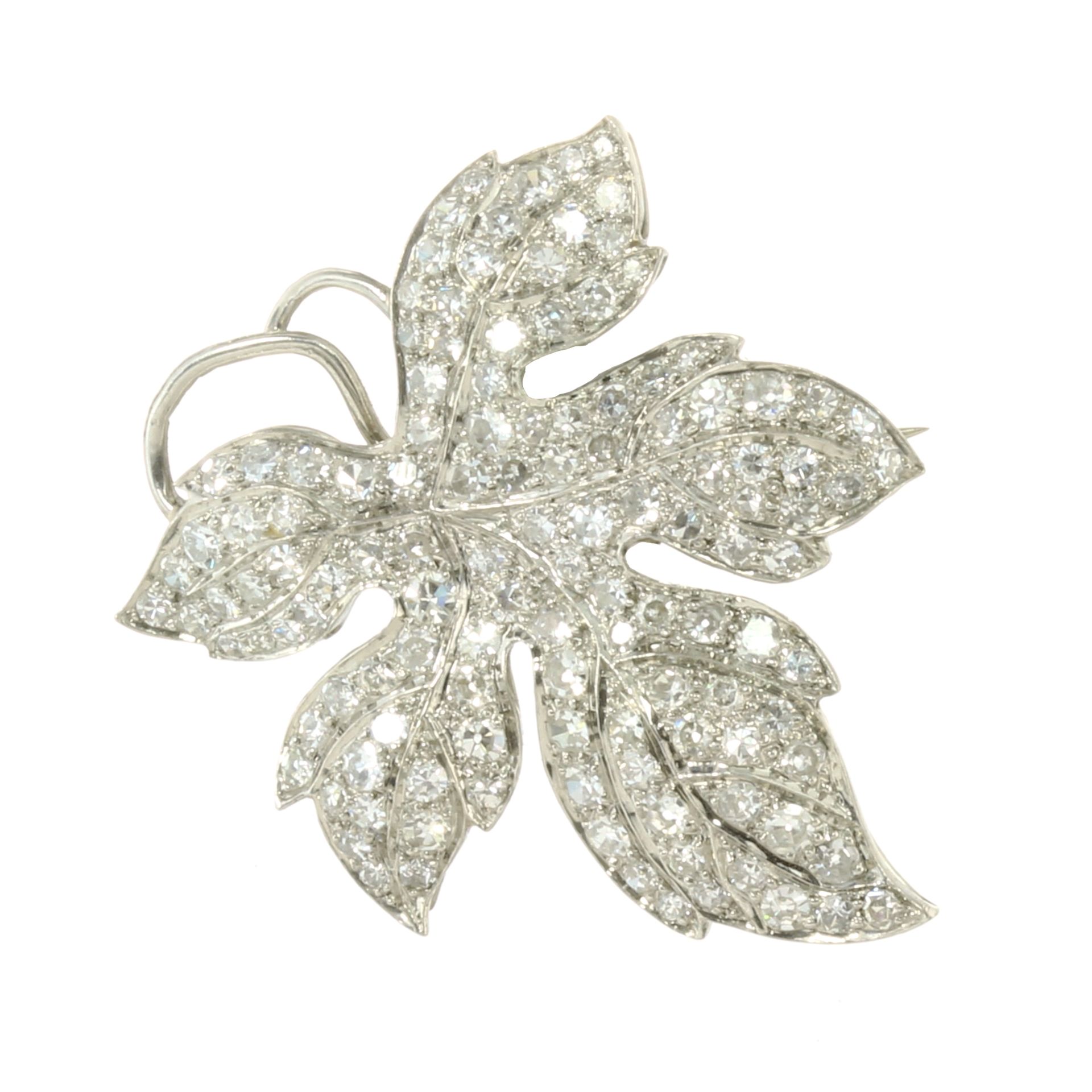 A DIAMOND MAPLE LEAF BROOCH in white gold or platinum, designed as a maple leaf, jewelled all over