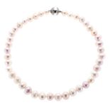 A TAHITIAN PEARL NECKLACE in silver, comprising a single row of forty-one pale pinkish-cream