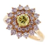 A FANCY COLOURED YELLOW AND PINK DIAMOND CLUSTER RING in high carat gold, set with a central round