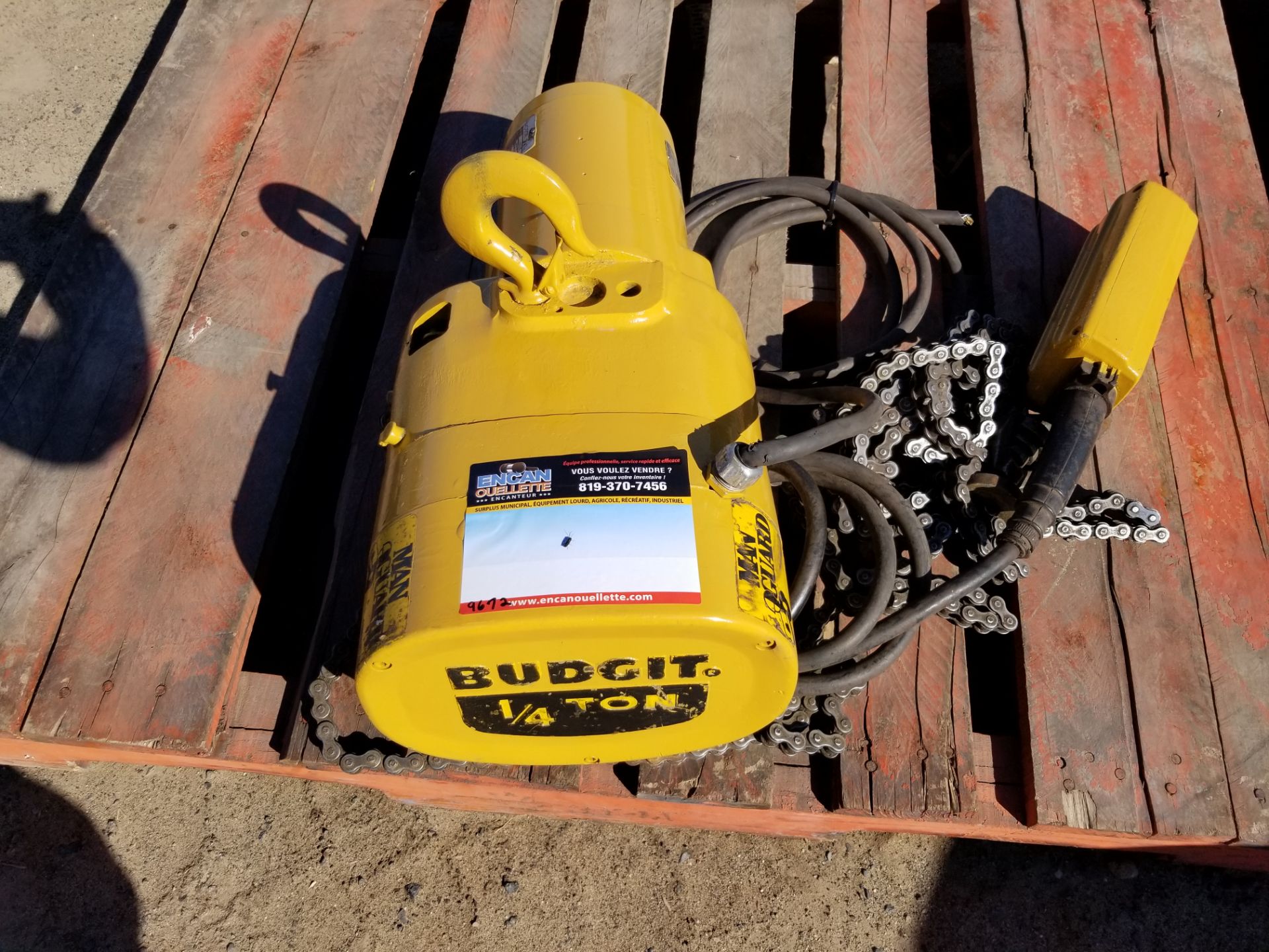 Chain block électrique 1/4 tonne marque Budgit 110 volts #9672