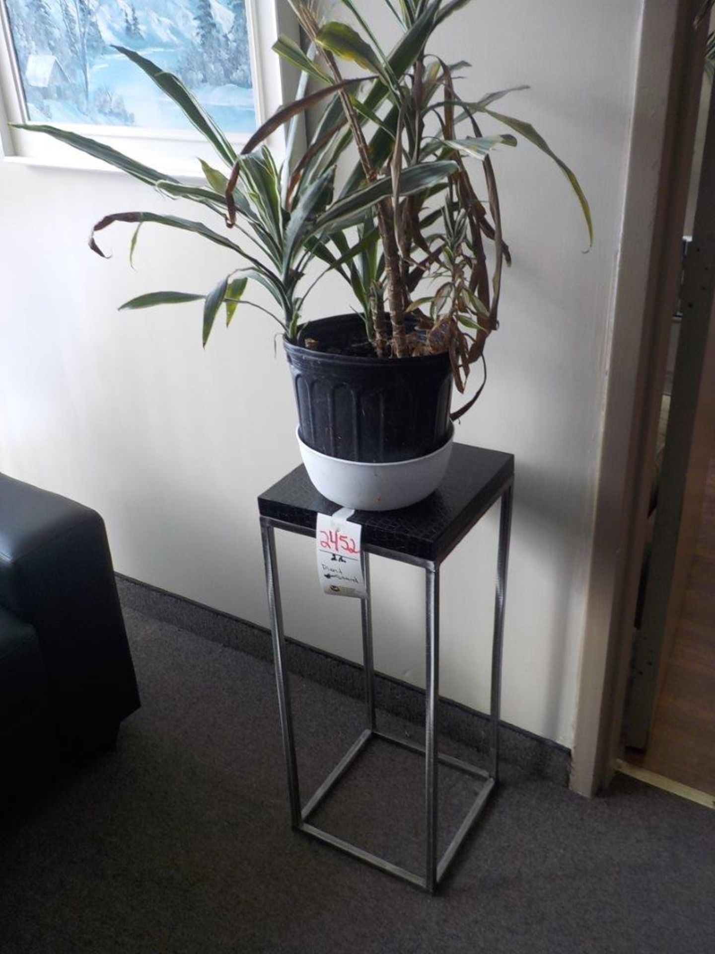 PLANT & STAND