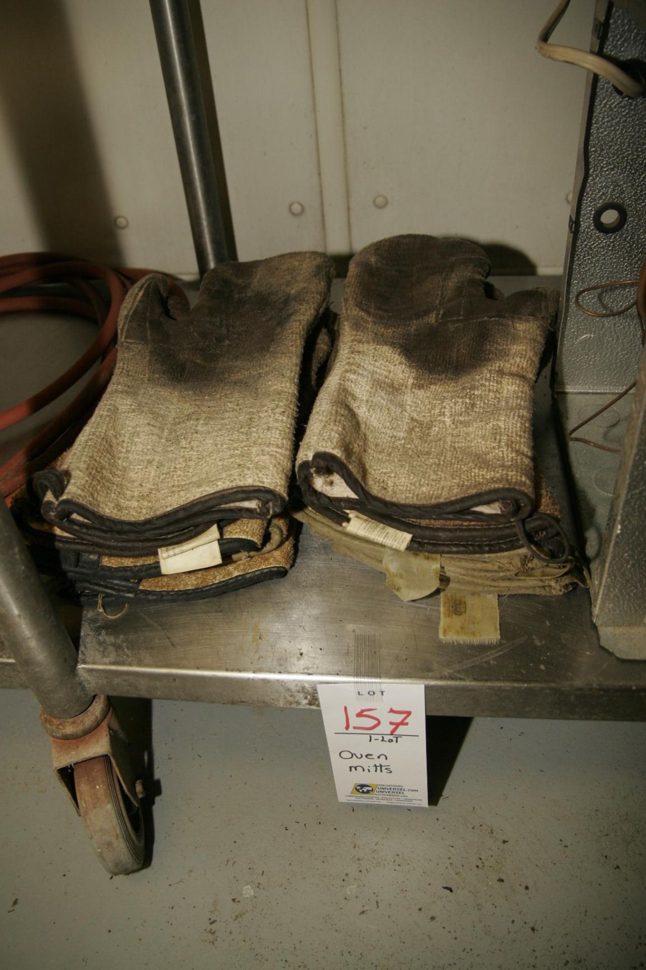 Oven mitts (Lot)