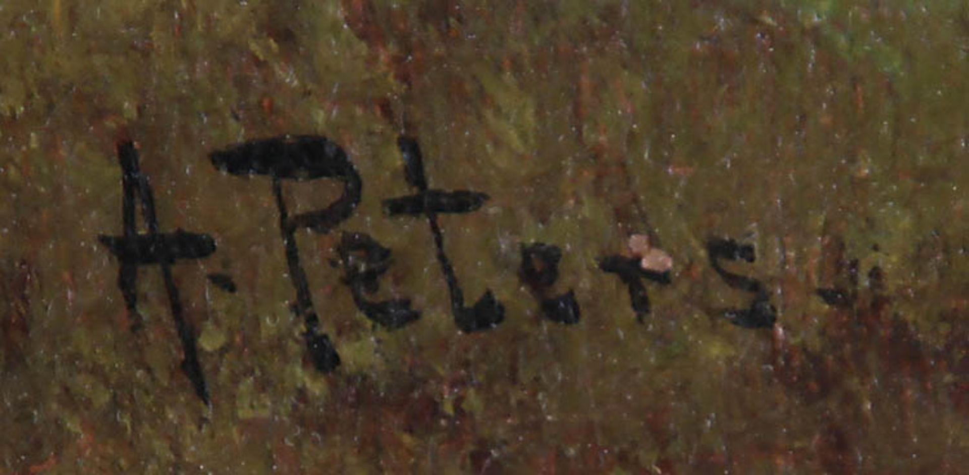Peters, A.20. Jh..Gewässerlandschaft.Re. u. sign. A. Peters. Öl/Lwd., 31,5 x 52,5 cm. Fein - Bild 2 aus 2