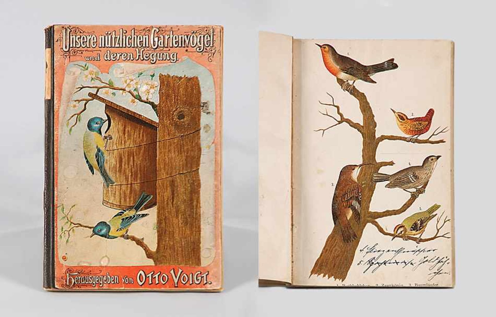 Voigt, OttoUnsere nützlichen Gartenvögel und deren Hegung. Verlag Th. Voigt, Gernrode um 1897.o. L.
