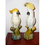 Fine pair of Minton majolica cockatoos