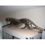 Large silvered leopard figure