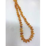 Amber bead necklace