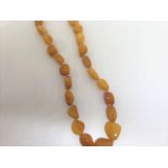 25" Amber bead necklace with silver clasp