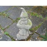 Gnome