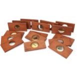 Projection Microscope Slides,