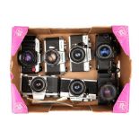 A Selection of Various SLR Cameras,