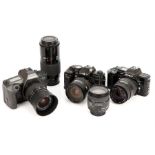 A Small Selection of SLR Cameras,