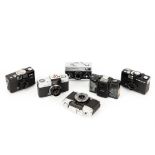 A Small Group of Compact Cameras,