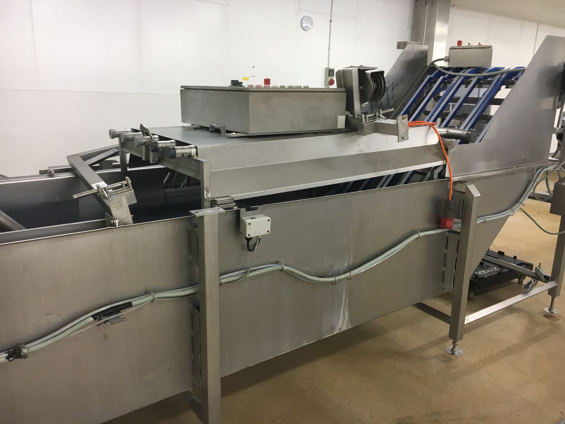 Pineapple or Mango washing flume with spring exit conveyor for soft landing. LO £200