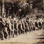 India.- Elephants with Mahouts, Ceylon, 1880s.