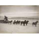 Polar.- Antarctica.- Ponting (Herbert) One of the Dogs, [1911, printed circa 1924].